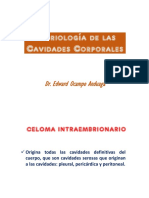 6 Cavidades Corporales (1)