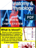 169 Anatomy Blood Lymphatic System