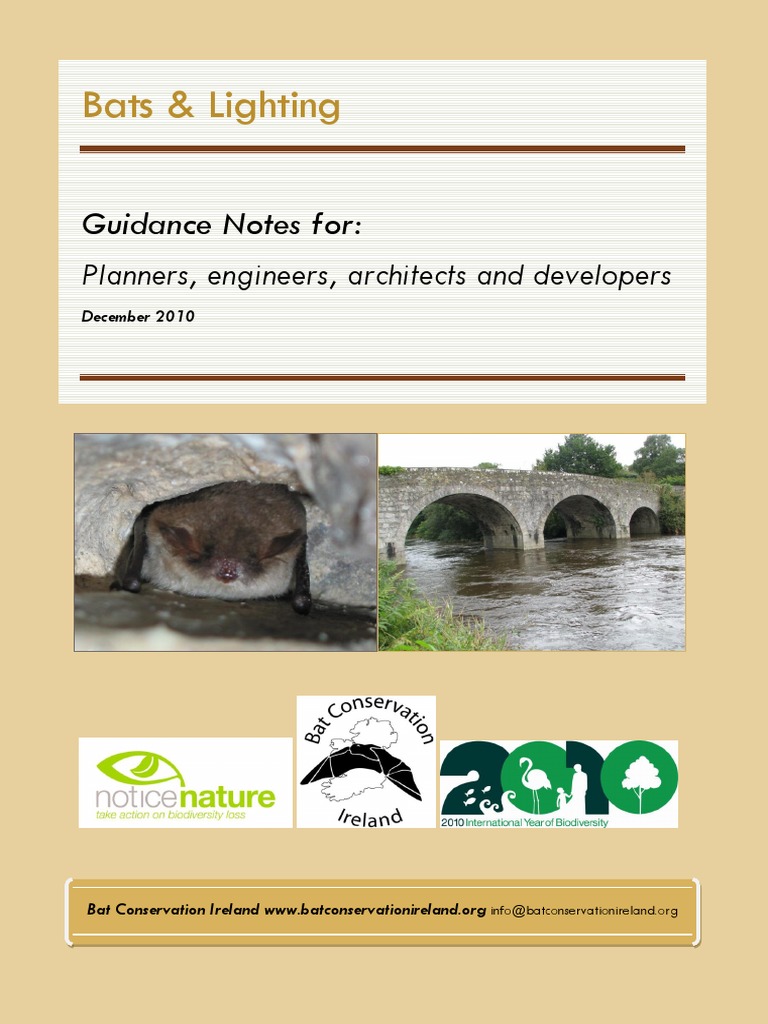 Bats & Lighting PDF PDF Lighting Bat