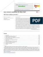 ISBI Practice Guidelines for Burn Care.pdf