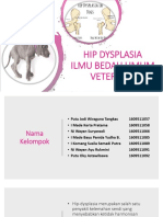 Hip Dysplasia