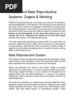 Female and Male Reproductive Systems