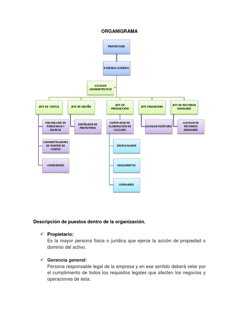 Organigrama y Descripcion de Puestos para Proyecto Empresarial | PDF ...