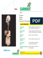 carmikot.pdf