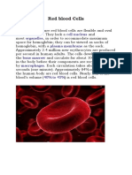 Red Blood Cells: Cell Nucleus Organelles Plasma Membrane