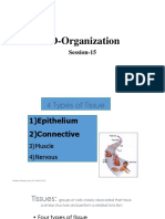 3D Organization