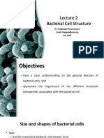 Lecture 2 Bacterial Cell Structure