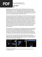 Download Participatory Action Research by mynameisarief SN43283268 doc pdf