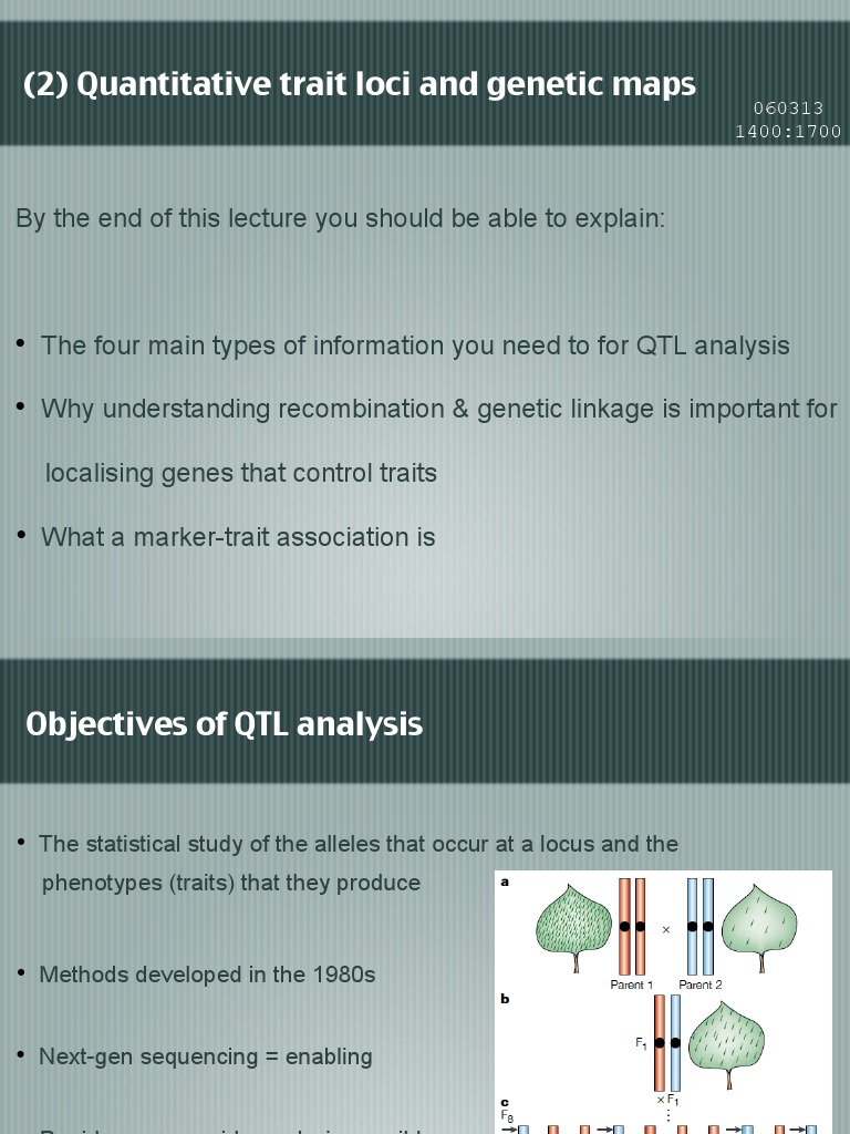 Lecture 2 Qtls and Genetic Maps | PDF | Genetic Linkage | Quantitative ...