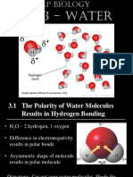 AP Biology Ch 3 - Properties of Water