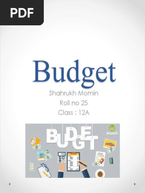 Budget Project