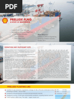 PRELUDE RINA Innovations Widescreen 3 No Video