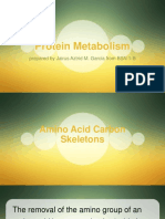Protein Metabolism Pathways and Enzymes