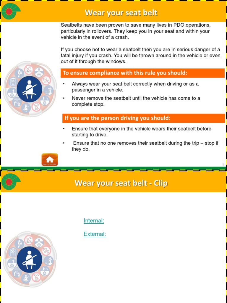 07 LSR Pack Road Safety Seat Belts | PDF | Seat Belt | Transport