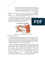 Implantasi Dan Plasentasi