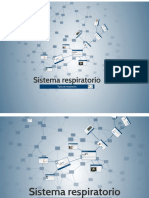 Sistema Respiratorio