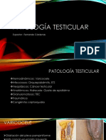 Patología Testicular y Peneana