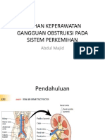 Pengkajian Fisik Sistem Perkemihan