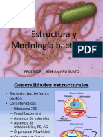 5.- Estructura y morfología bacteriana.pdf