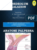 Hordeolum Kalazion Nevus