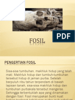 Fosil