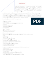 ciclodeingresoscomprasnominaytesoreria-130407215621-phpapp01.pdf