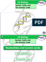 As Nucleic Acids & The Genetic Code