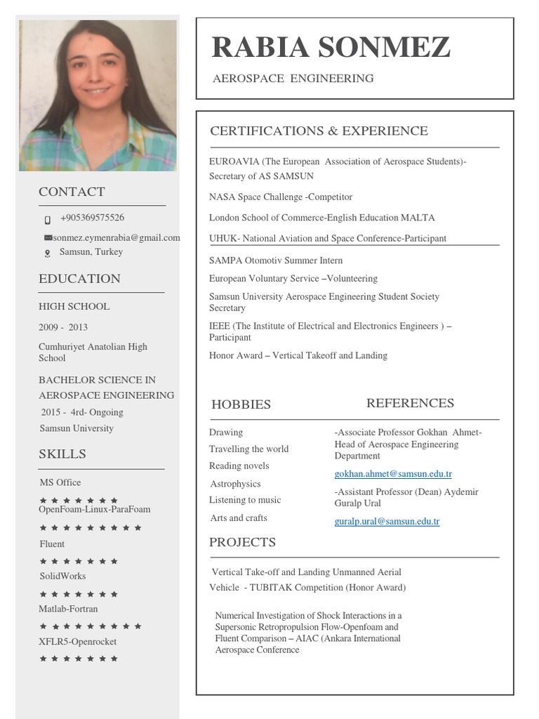 Aerospace Engineer Profile & Skills | PDF | Aeronautics | Aviation
