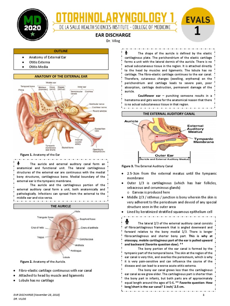 Understanding Ear Discharge Causes | PDF | Ear | Hearing