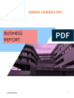 Business: 1 Arena Camera Inc