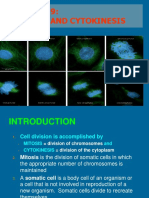 Mitosis KRT Baru