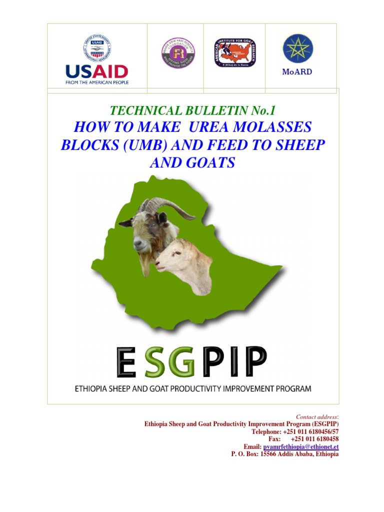 How To Make Urea Molasses Blocks Umb and PDF PDF Dietary