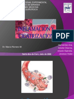 Proceso de Inflamación 