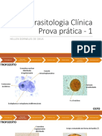 Parasitologia Clínica