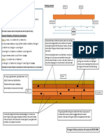 Construction Plan: Testing Scenario Timber Measurements