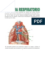 Sistema Respiratorio 1 2