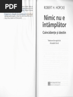 Nimic Nu e Intamplator - Robert H. Hopcke