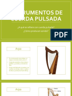 Instrumentos de Cuerda Pulsada