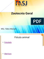 4-FM - Taxonomia Dos Animais Domésticos PDF