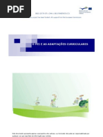 pei e as adaptações curriculares