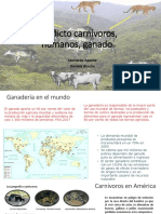 Conflicto Carnívoros, Humanos, Ganado