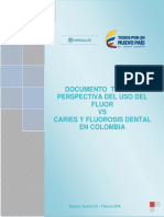 perspectiva-uso-fluor.pdf