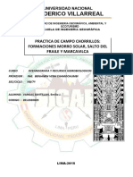 Informe-Morro-Solar-Villareal.pdf
