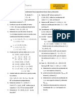 2 Combinación Lineal PDF