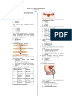 Soal Uh 1 Reproduksi