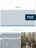 Rawa