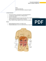 Anatomía - Pared Abdominal OK