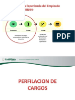 Perfiles y Descripciones de Cargo 2019