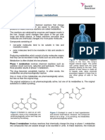 Pharmacokinetic Processes: Metabolism