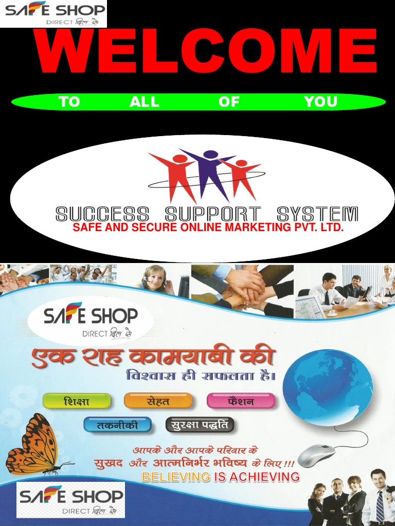 Safe Shop Business Plan Overview | PDF | Television | Electronic ...